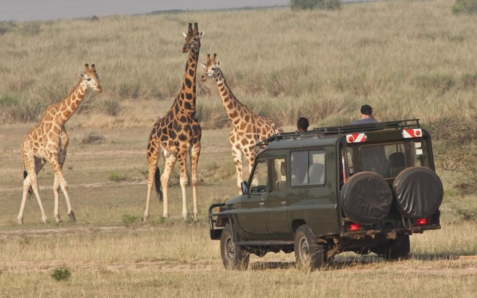 Game-Drives-In-Akagera-National-Park-Visit-rwanda-Rwanda-tour