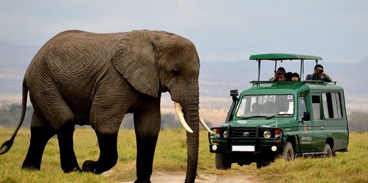 Game-Drives-in-Akagera-National-Parks-750x374