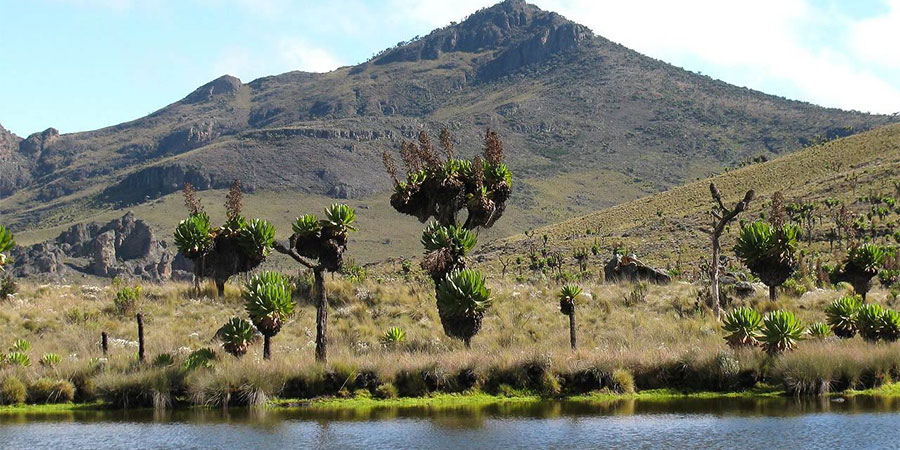 MOUNT ELGON NATIONAL PARK